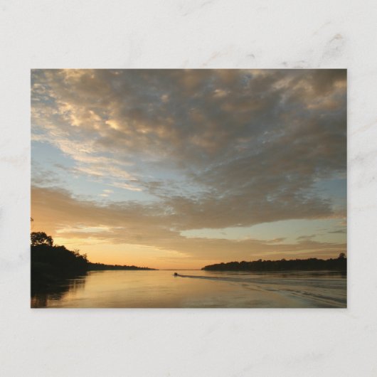 Amazon Humane Society Briefkaart: Beauful Amazon S Briefkaart (Voorkant)