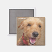 Amazon Humane Society Magnet: Precious Dog-serie Magneet (Voorkant / Achterkant)