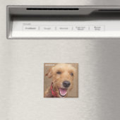 Amazon Humane Society Magnet: Precious Dog-serie Magneet (Insitu (Vaatwasser))