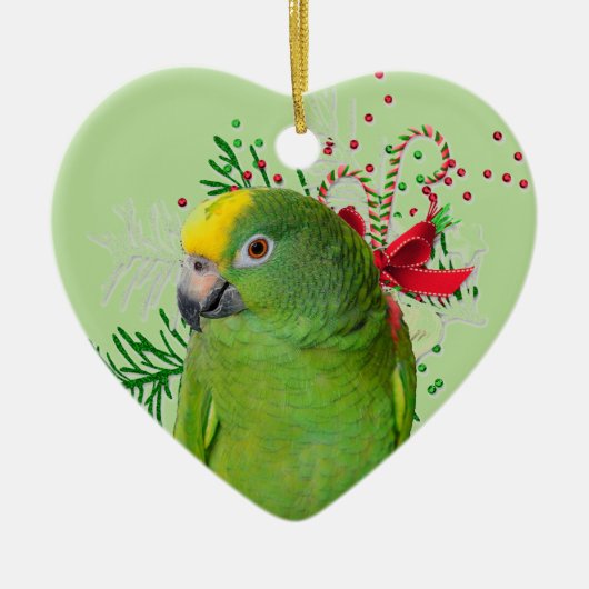 Amazon Love Holiday Ornament (Voorkant)