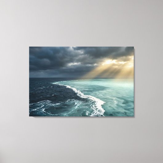 Amazon Meeting of Waters - Realistic Zen Landscape Canvas Afdruk (Voorkant)