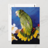 Amazon Parrot Briefkaart (Voorkant / Achterkant)
