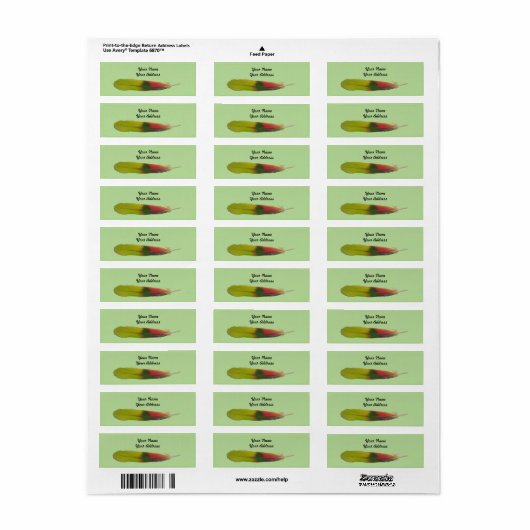 Amazon Parrot Feather adresetiketten Etiket (Full Sheet)