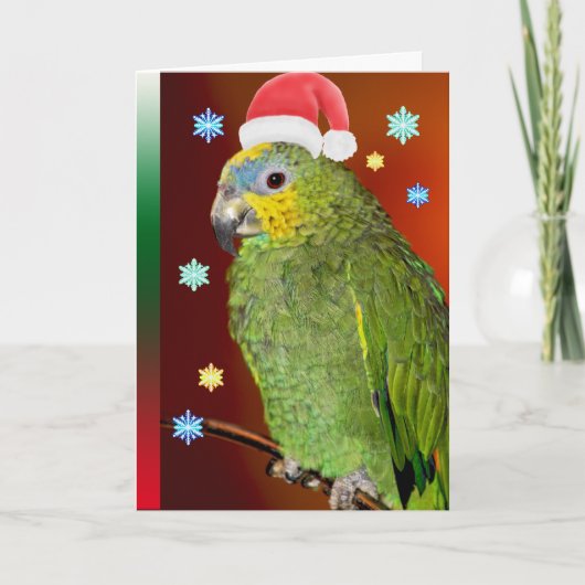 Amazon Parrot Santa Claus Feestdagen Kaart (Voorkant)