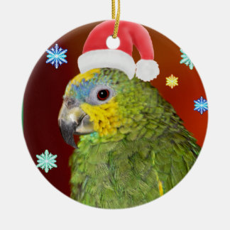 Amazon Parrot Santa Ornament