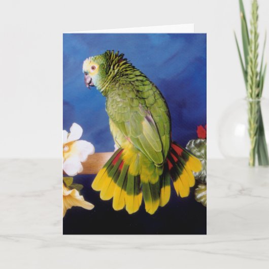 Amazon Parrot Wenskaart Kaart (Voorkant)