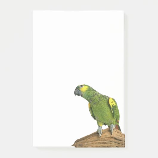 Amazon Post-it® notes 4 x 6 (Voorkant)