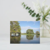 AMAZON RAINFOREST. BRIEFKAART (Staand voorkant)