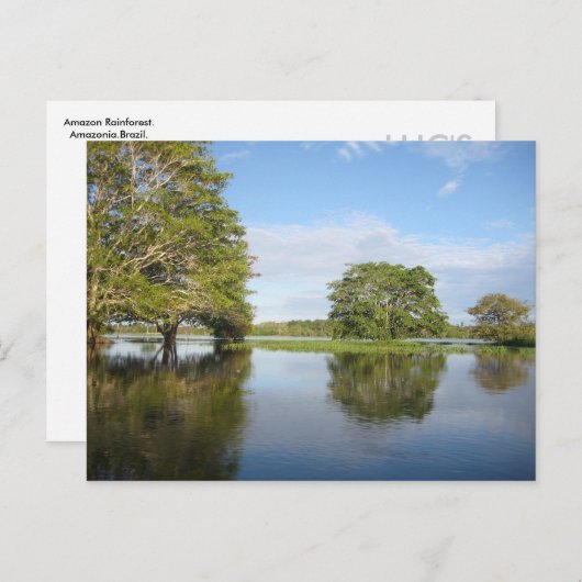 AMAZON RAINFOREST. BRIEFKAART (Voorkant / Achterkant)