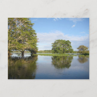 AMAZON RAINFOREST. BRIEFKAART