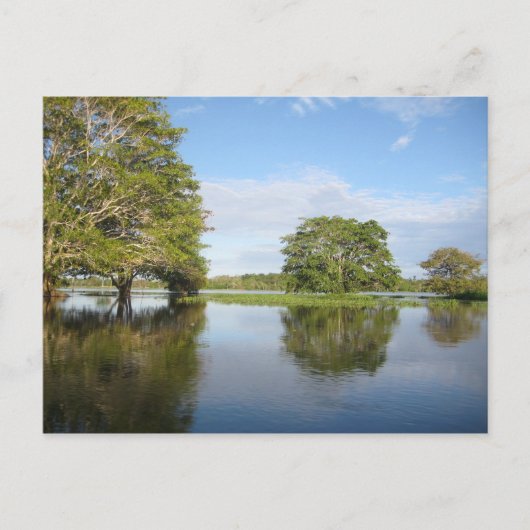 AMAZON RAINFOREST. BRIEFKAART (Voorkant)