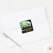 Amazon Square Stickers (Envelop)