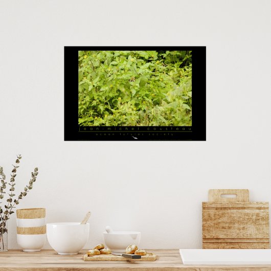 Amazon Squirrel Monkey Poster (Keuken)