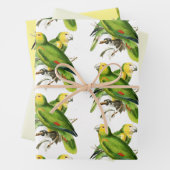 Amazona Parrots -  vogels Inpakpapier Vel (In situ)