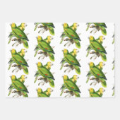 Amazona Parrots -  vogels Inpakpapier Vel (Voorkant)
