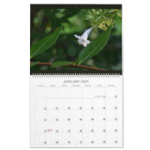 Amazone-bloemen voor wandkalender kalender (Jan 2027)