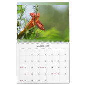 Amazone-bloemen voor wandkalender kalender (Mar 2027)