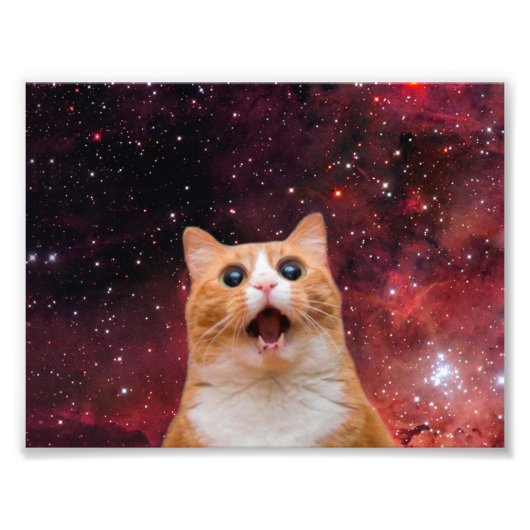 Amazone-kat Foto Afdruk (Voorkant)