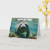 Amazone Manatee zwemmen boven het Amazonerif Kaart (Gele Bloem)