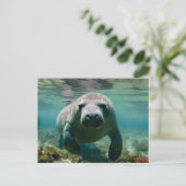 Amazone Manatee zwemmen boven rif. Briefkaart (Staand voorkant)