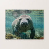 Amazone Manatee zwemmen boven rif. Legpuzzel (Horizontaal)