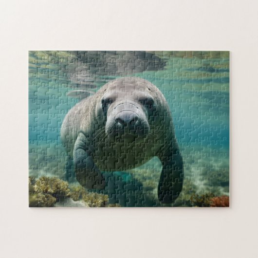 Amazone Manatee zwemmen boven rif. Legpuzzel (Horizontaal)