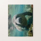 Amazone Manatee zwemmen boven rif. Legpuzzel (Verticaal)