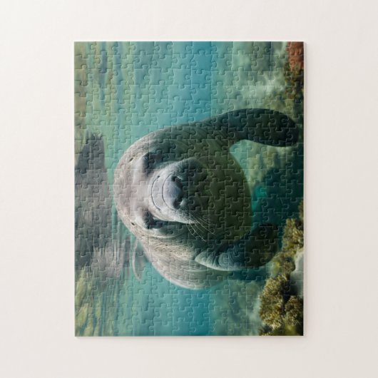 Amazone Manatee zwemmen boven rif. Legpuzzel (Verticaal)