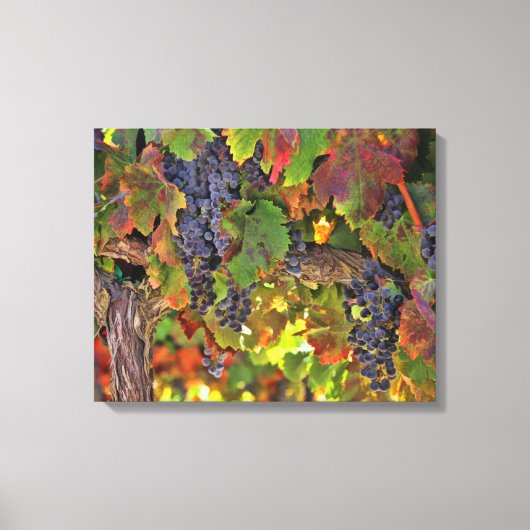 Amazone Wine Country Winery Wineyard Wall Art Canvas Afdruk (Voorkant)