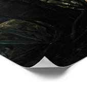 Amazonia Poster (Hoek)