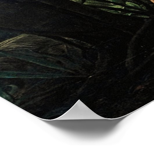 Amazonia Poster (Hoek)