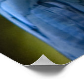 Amazonian Parrot Portrait Poster (Hoek)