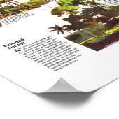 " Amazonië : 1992 A World Resource at Risk MAP ... Poster (Hoek)