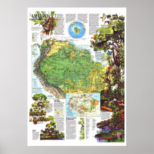 " Amazonië : 1992 A World Resource at Risk MAP ... Poster