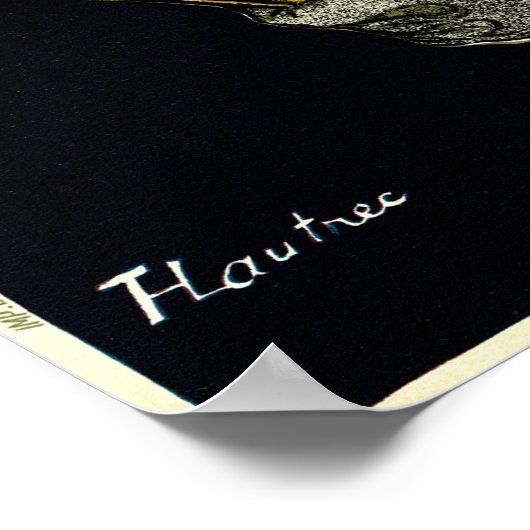 Ambassadeurs Art Nouveau in Toulouse Lautrec Poster (Hoek)