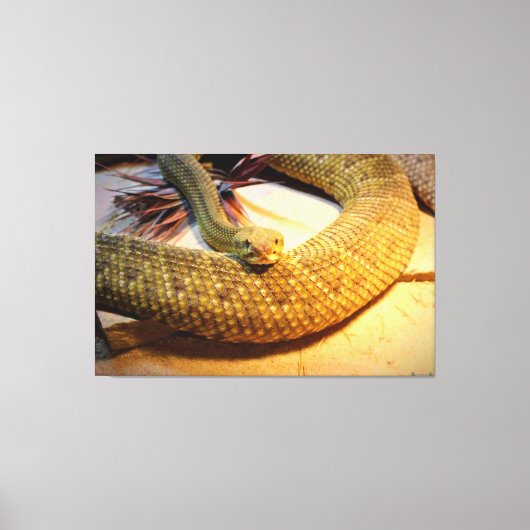 Amber Eenzaamheid Canvas Afdruk (Voorkant)