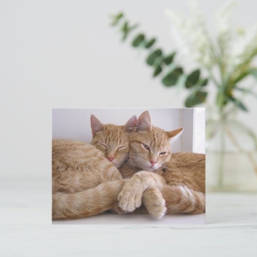 Amber en Topez Briefkaart (Staand voorkant)