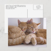 Amber en Topez Briefkaart (Voorkant / Achterkant)