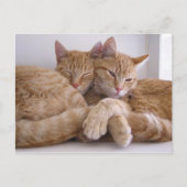 Amber en Topez Briefkaart (Voorkant)