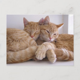 Amber en Topez Briefkaart