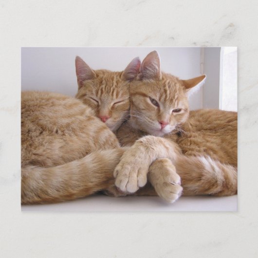 Amber en Topez Briefkaart (Voorkant)