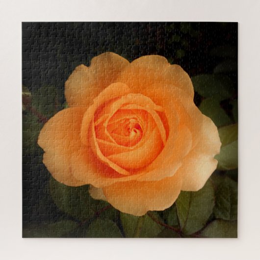 Amber Flush Roos Jigzaag Puzzle Legpuzzel (Verticaal)