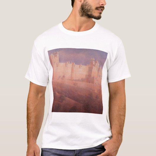 Amber Fort Jaipur T-shirt (Voorkant)