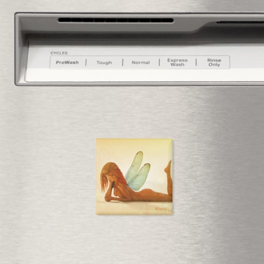 "Amber" Guardian Magnet (Insitu (Vaatwasser))