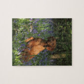 Amber Legpuzzel (Horizontaal)