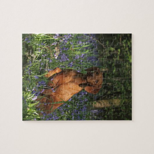 Amber Legpuzzel (Horizontaal)