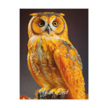 Amber Owl.