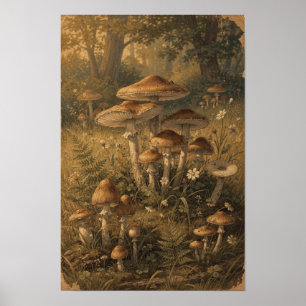 Amber Paddenstoelen Bos Bosland Muur Kunst Poster