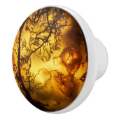 Amber Plant Pattern Keramische Knop (Rechts)