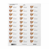 AMBER rustige herfst foliage pumpkin-retouradres Etiket (Full Sheet)